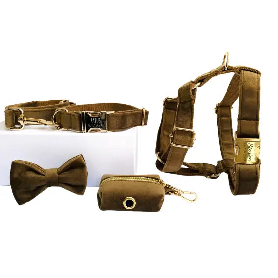 Kit Complet Chien Personnalisé Velours Lisse Marron Transparent Background
