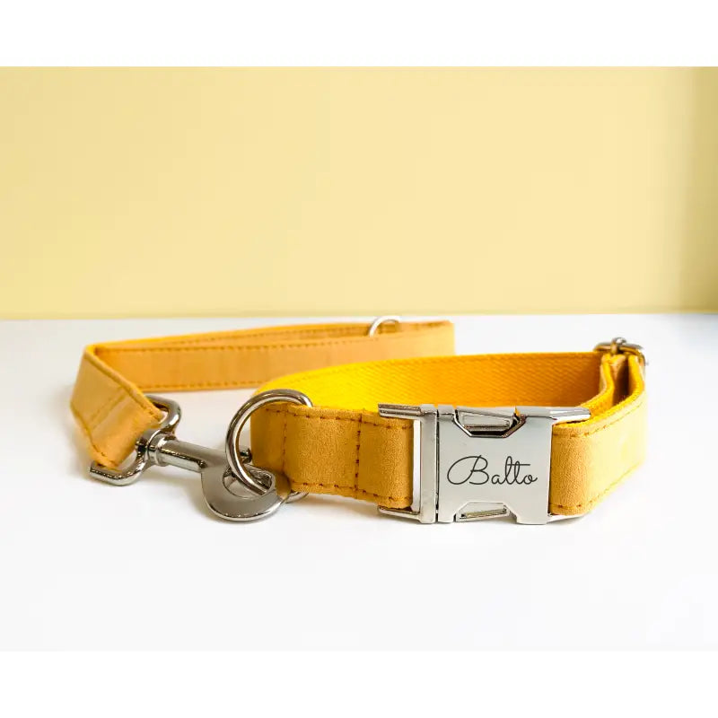Kit Complet Chien Personnalisé Coton Jaune