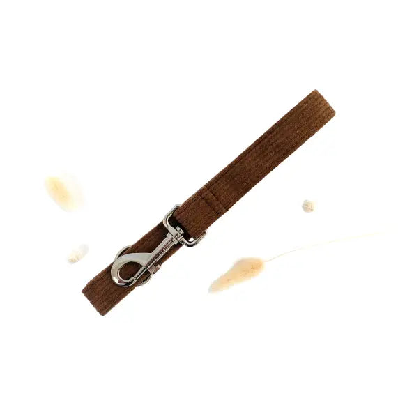 Laisse Velours Côtelé Chocolat Transparent Background
