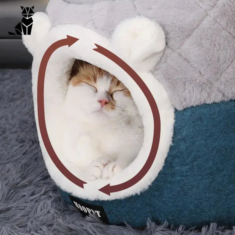 Petit chien lit : Un chat qui dort dans un lit douillet conçu pour les petits chiens