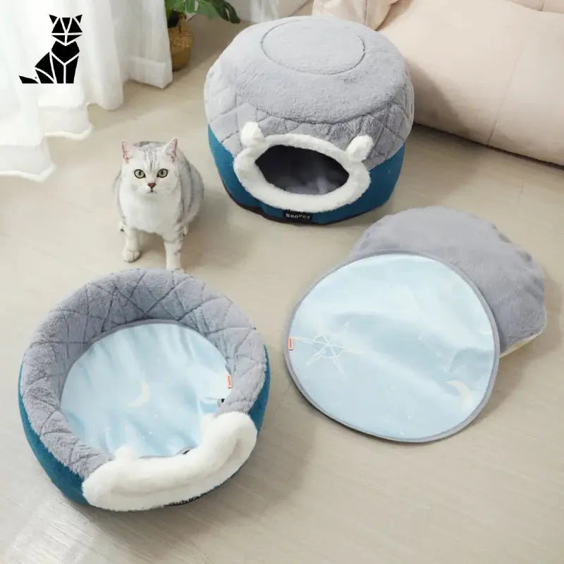 Petit chien lit : deux lits douillets pour chats avec un chat sur le sol à proximité
