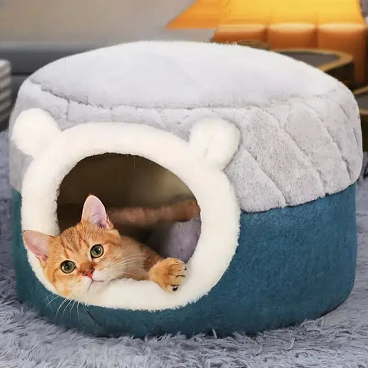 Petit chien lit : Lit douillet pour un petit chien avec un chat couché confortablement