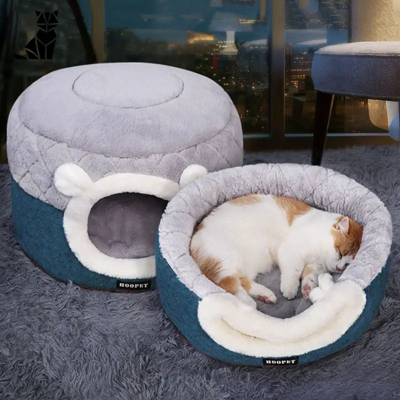 Petit chien lit : Un chat qui dort dans ’Le lit douillet pour un petit chien’
