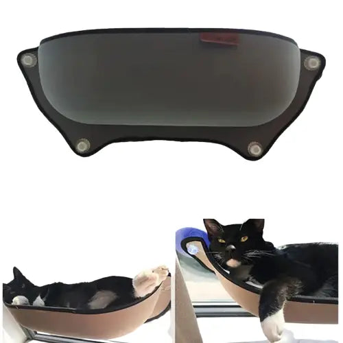  Transparent Background