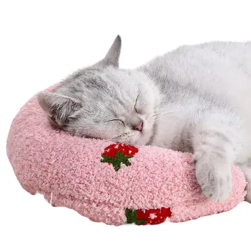 Chat dormant sur un oreiller rose avec une fraise, Cozy Bed for Cats, coussin apaisant Transparent Background
