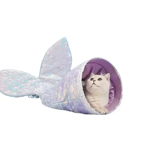 Chat en costume de sirène sur un lit douillet en polychlorure de vinyle Transparent Background