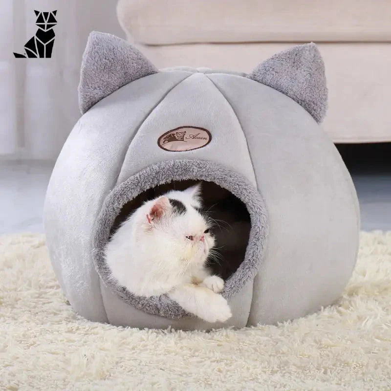 Maison pour chat - Espace privé et chaud - Chat couché dans son lit