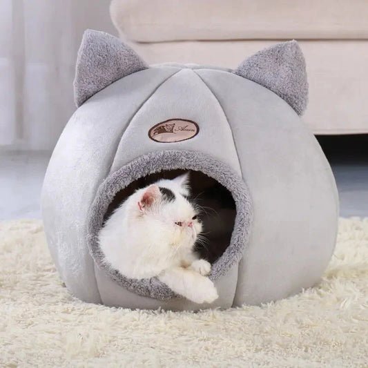 Chat couché dans un lit privé et chaud de Cat House - Espace privé et chaleureux