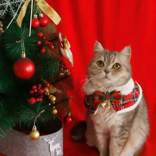 Chat avec un nœud de Noël près d’un arbre, mettant en valeur le design festif du manteau pour les aventures hivernales