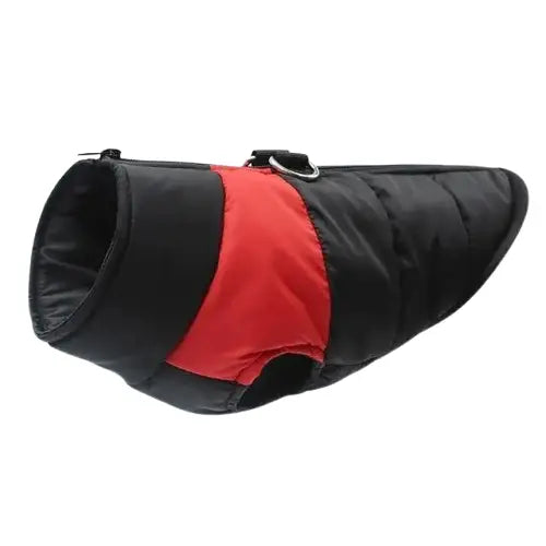 Manteau d’Hiver Pour Chien Transparent Background