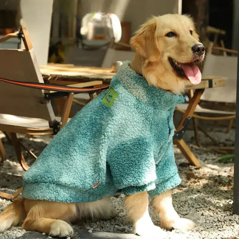 Grand chien dans un manteau bleu assis sur un tapis - Manteau d’hiver chaud pour grands chiens