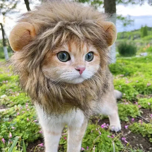 Adorable chat à crinière de lion Soft Coral Velvet Coat - Velours doux pour votre animal de compagnie