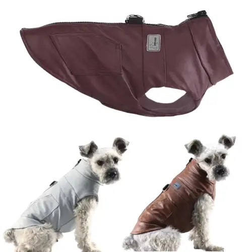 Manteau Harnais En Cuir Imperméable Pour Chien Transparent Background