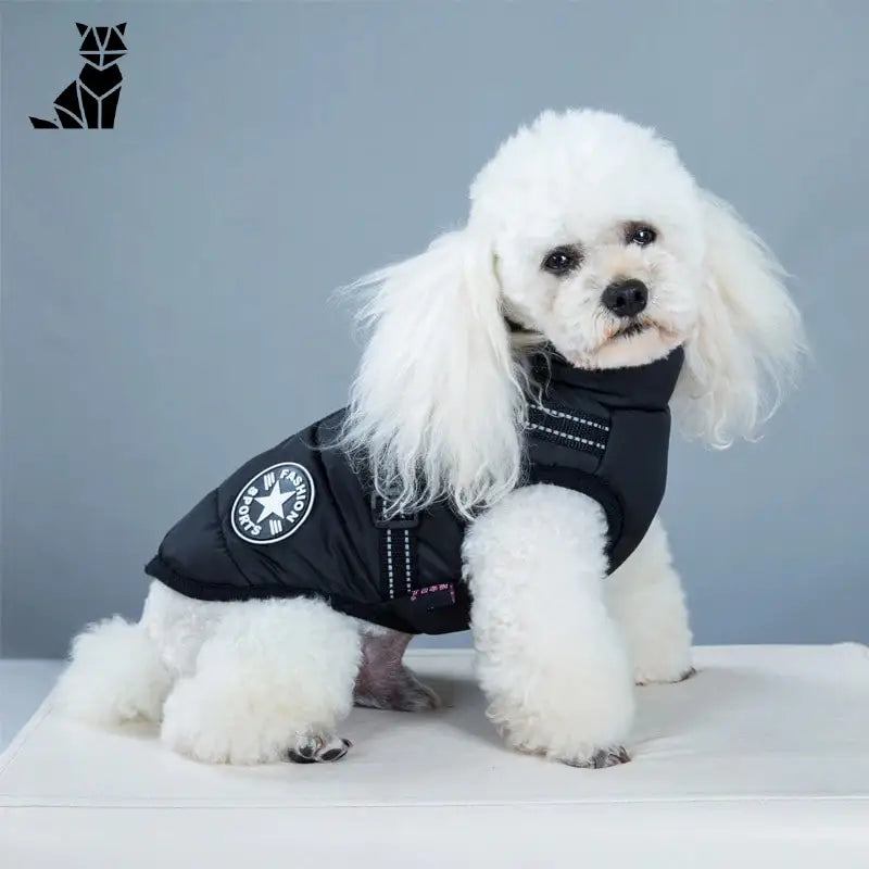 Manteau pour chien - Animal Lovers | petzeal