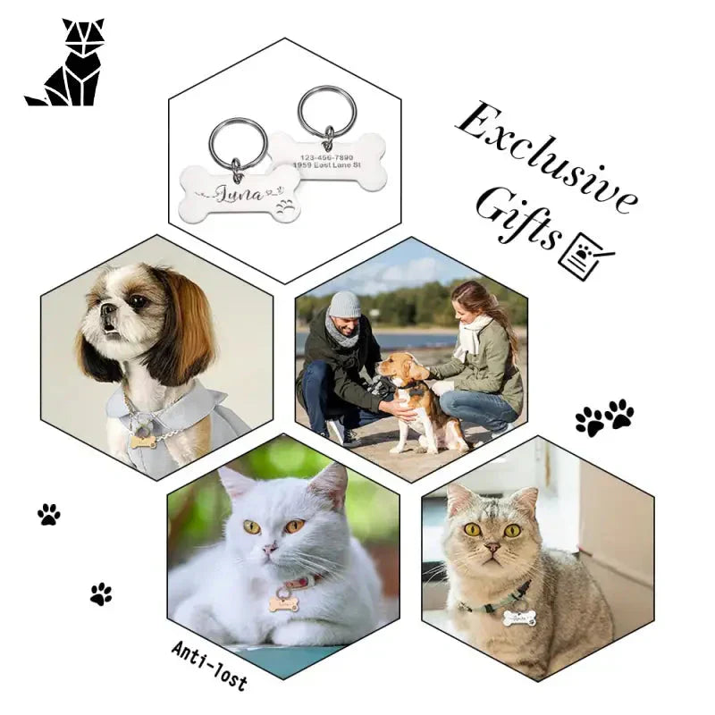 Médaille personnalisée en acier pour chat, chien avec deux chiens - Gravure gratuite