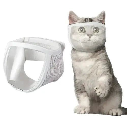 Chat avec muselière transparente confortable pour Toilettage à Domicile Transparent Background