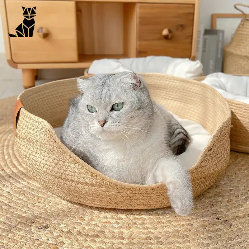 Un chat portant un chapeau de paille assis dans un nid douillet en bambou tressé pour petits chiens