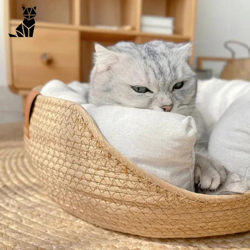 Un chat assis dans un chapeau de paille à côté du nid tissé en bambou pour petits chiens