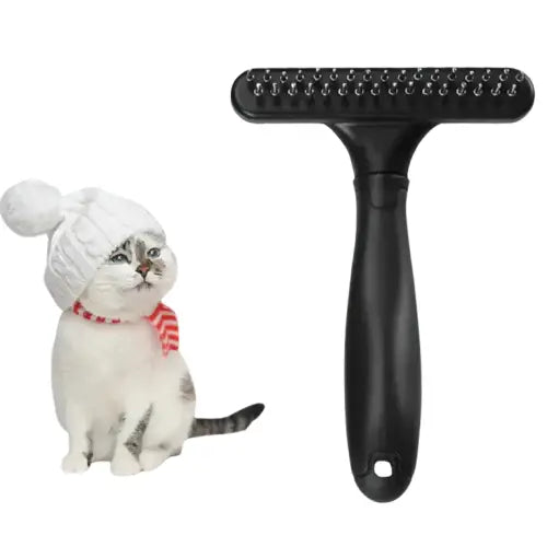 Un chat sur une étagère blanche avec le peigne Double Nucleocrat peigne anti puces Transparent Background