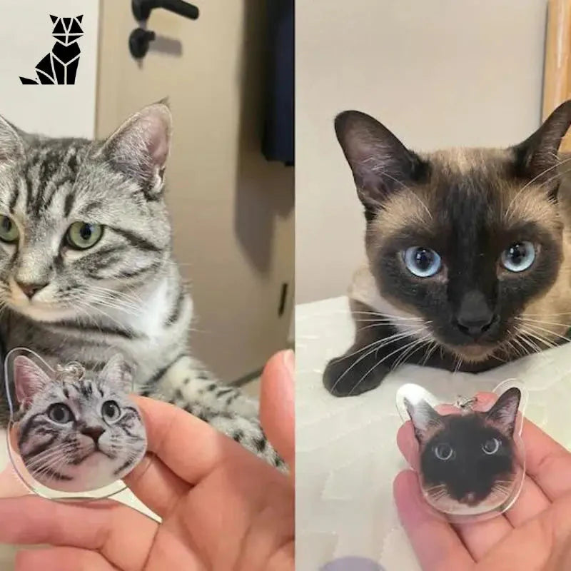 Porte-clés uniques : Animaux personnalisés - Deux chats sur l’image