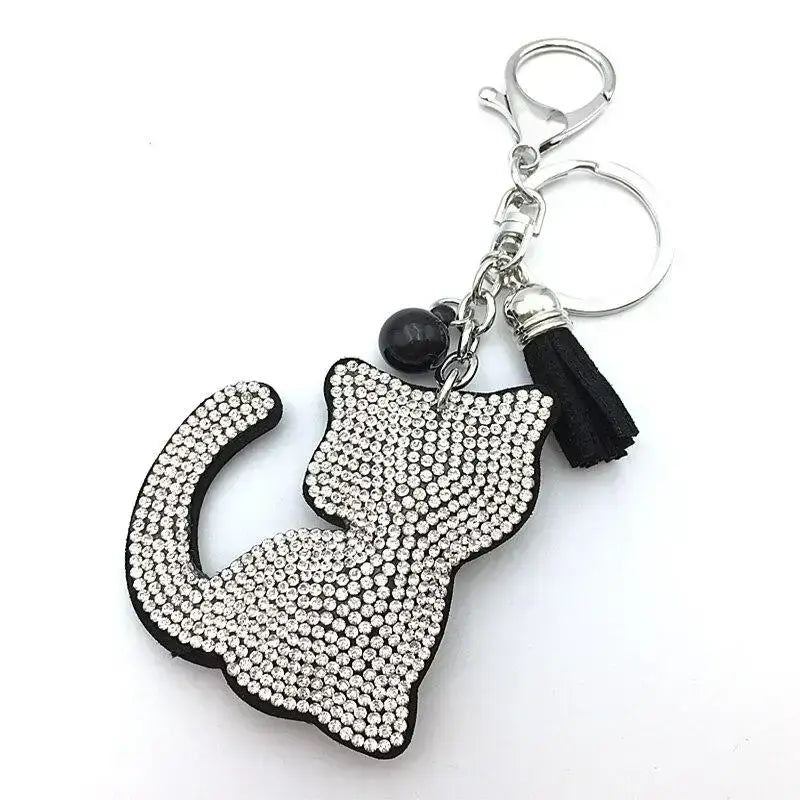 Petits Accessoires Chat gros plan - Petzeal