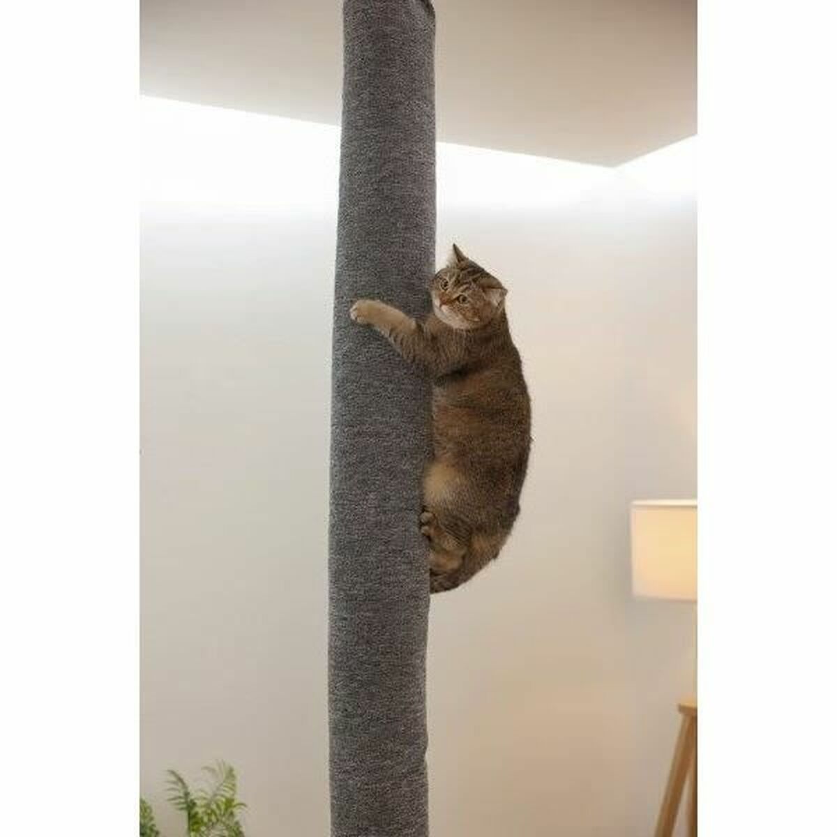 Poteau à Griffer Chat – vue 2