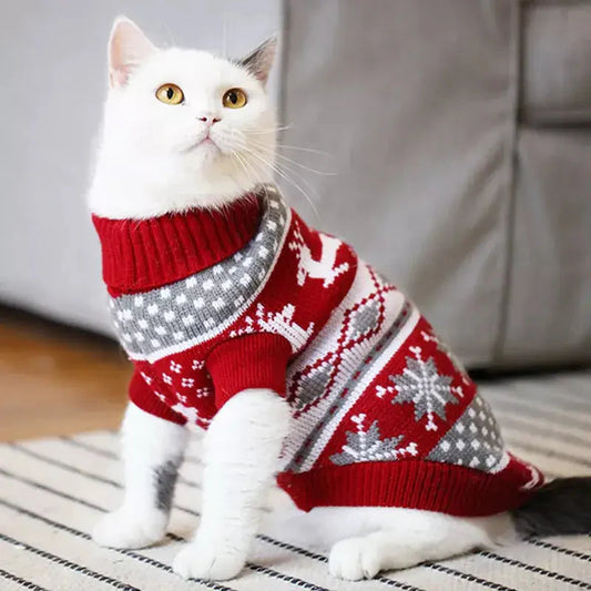 Chat blanc vêtu d’un pull de Noël rouge et festif : Facile à porter pour les fêtes de fin d’année