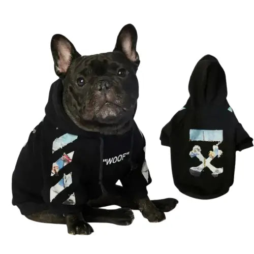 Chien Araff en sweat à capuche et un autre chien en pull pour chien : Chaud et élégant pour les animaux de compagnie Transparent Background