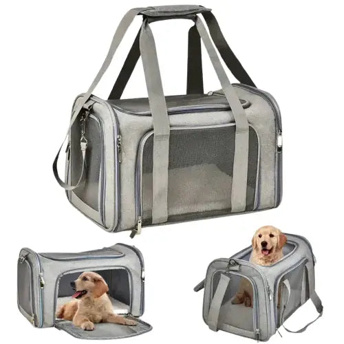 Sac de transport gris pour chien pour un transport facile Transparent Background