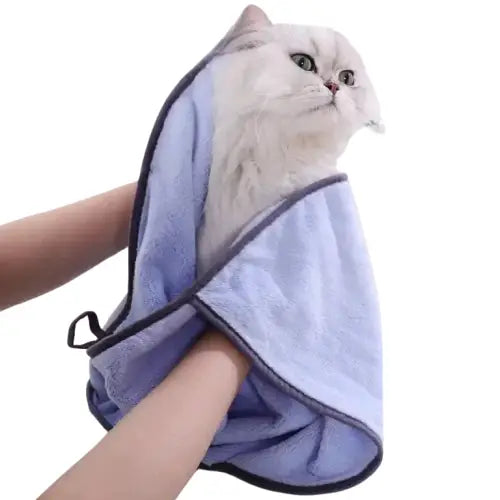 Chat assis sur une serviette de séchage rapide pour chat dans la salle de bain Transparent Background