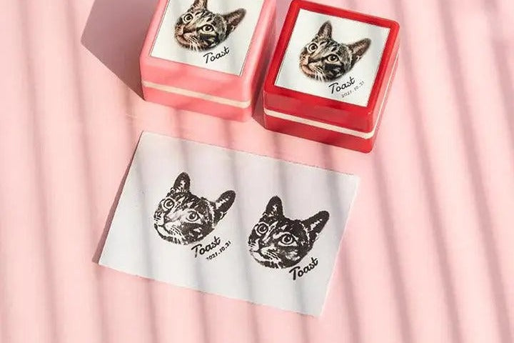 Votre chat signe chaque carte