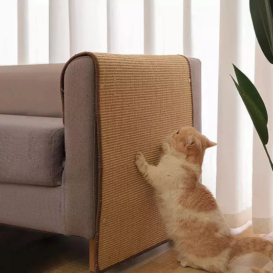 Chat faisant ses griffes sur un tapis en sisal à côté du canapé ; griffoir parfait pour votre maison