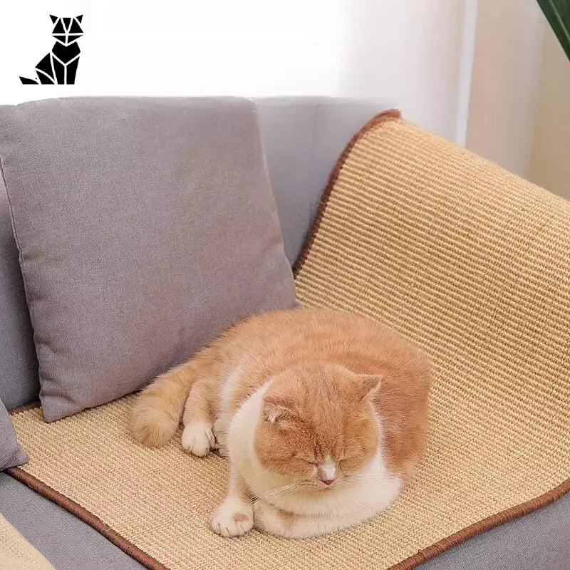 Chat dormant paisiblement sur un canapé à côté d’un confortable oreiller en sisal Griffoir