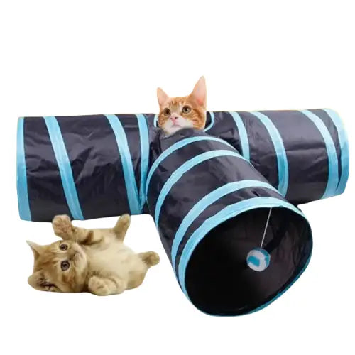 Tunnel pour chat | TunnelCat™ Transparent Background