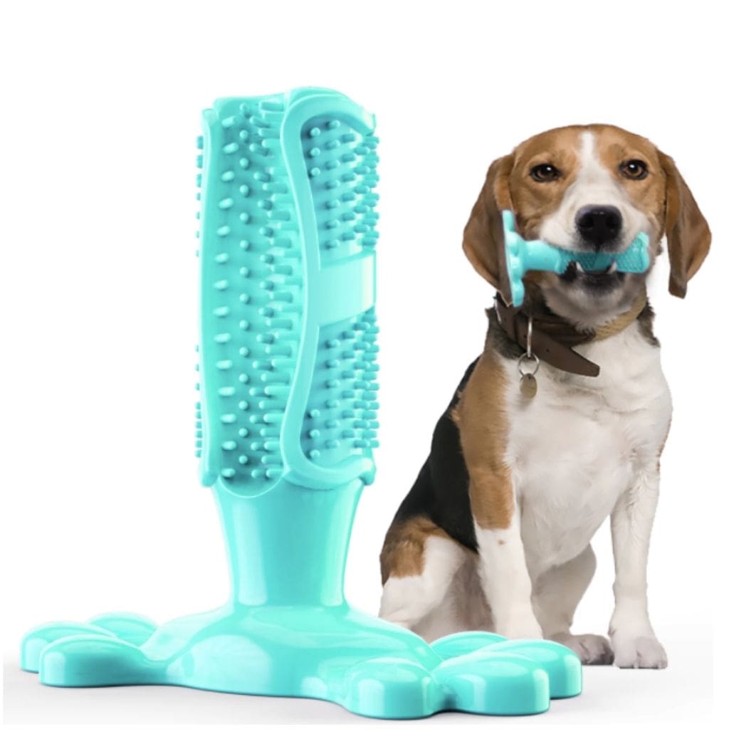 Brosse à dents pour chien | petzeal